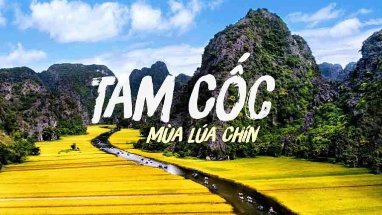 Hoa Lư Tam Cốc - Hang Múa